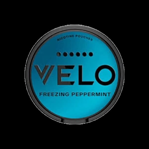 Velo 6